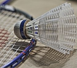 Collège de Rosemont - badminton