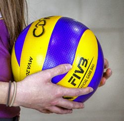 Collège de Rosemont - Volleyball libre - activités sportives