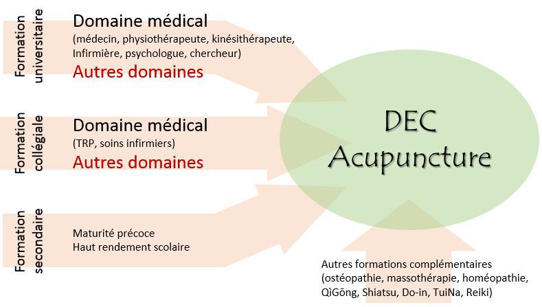 Collège de Rosemont - Acupuncture