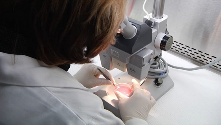 Cytogénétique clinique