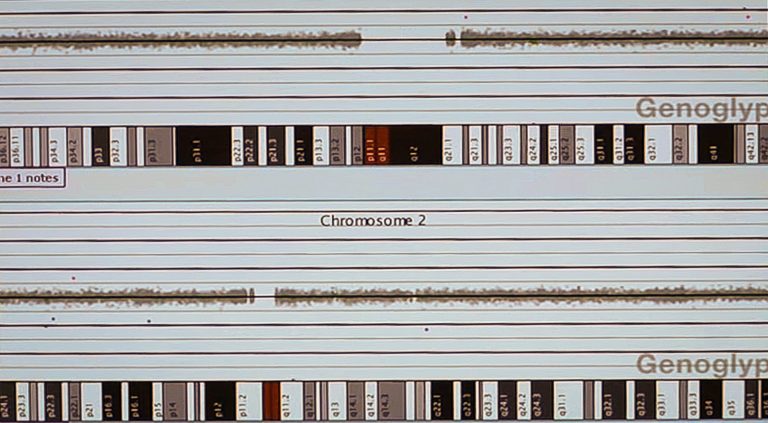 Cytogénétique clinique