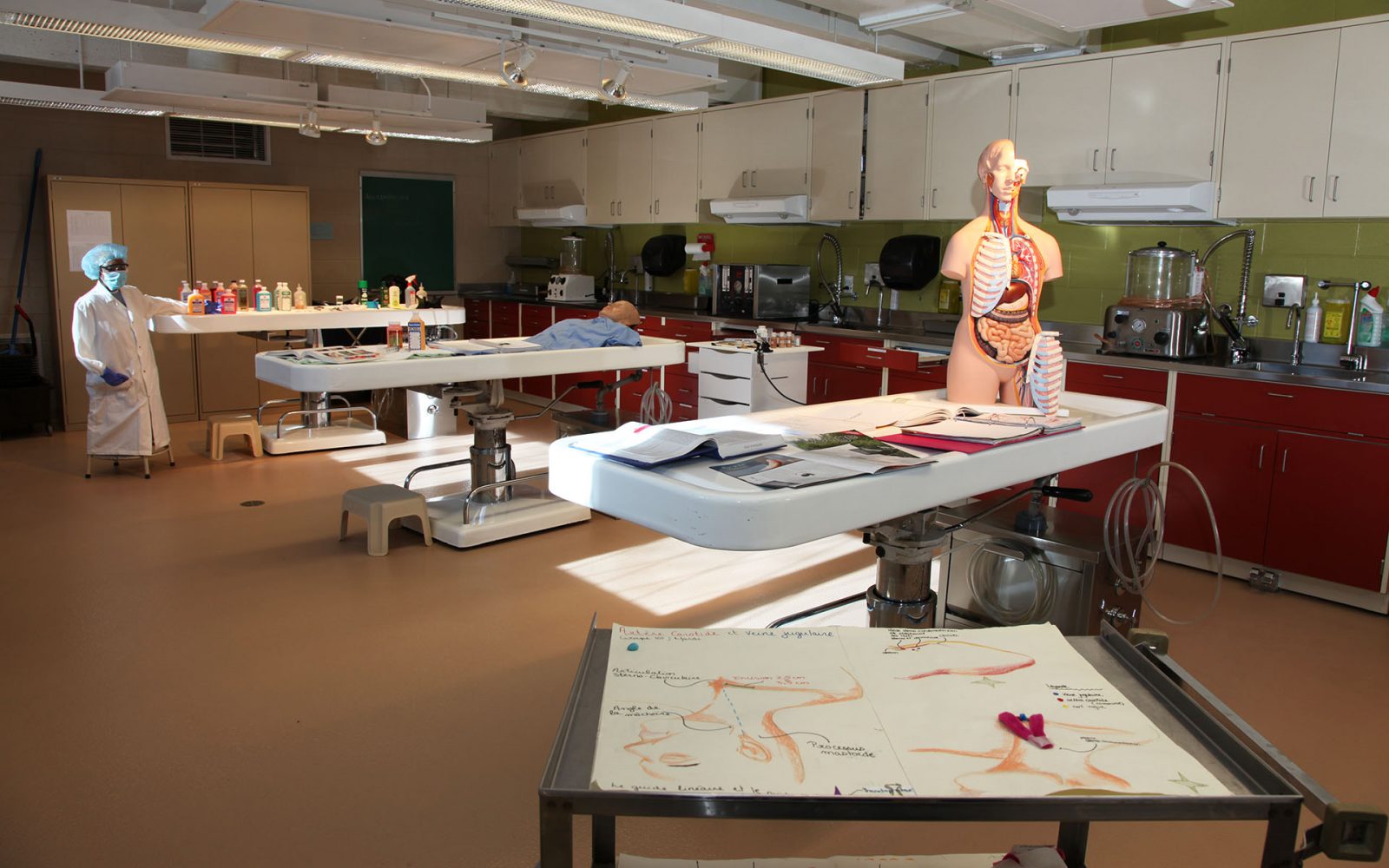 Cégep de Rosemont - Thanatologie