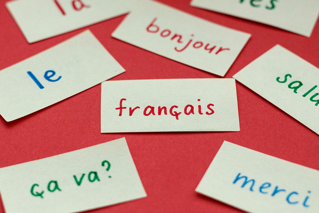 Cours de francisation gratuits pour les personnes immigrantes