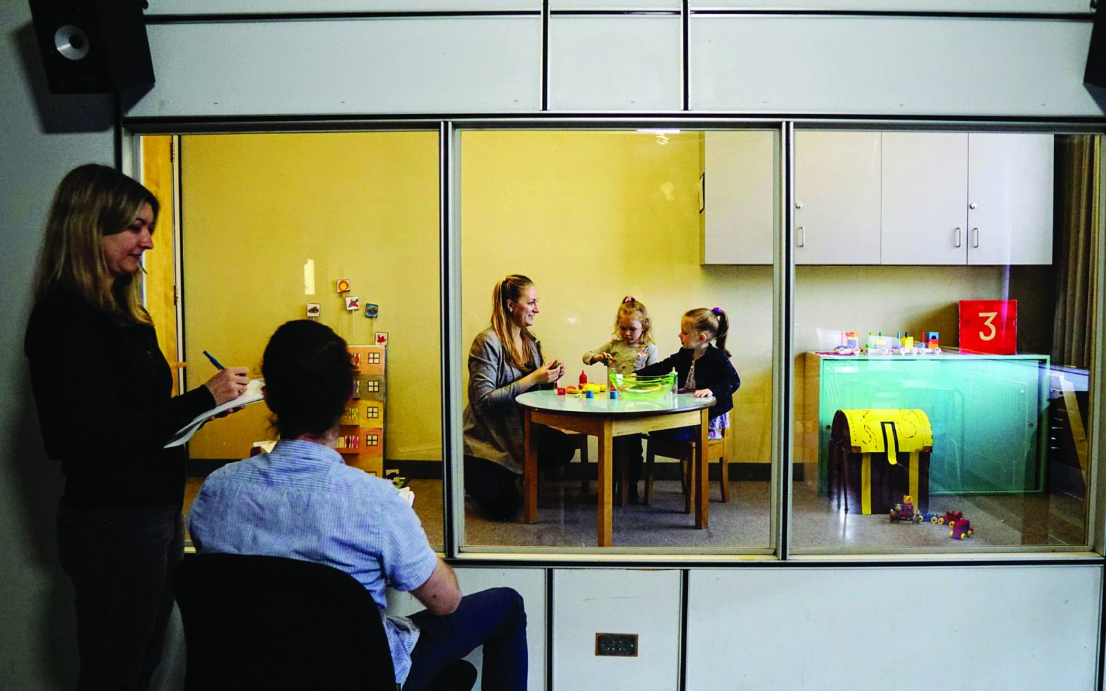 Sciences humaines – Option Individu et interactions psychosociales