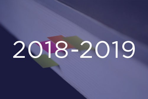 Collège de Rosemont - rapport 2018-2019