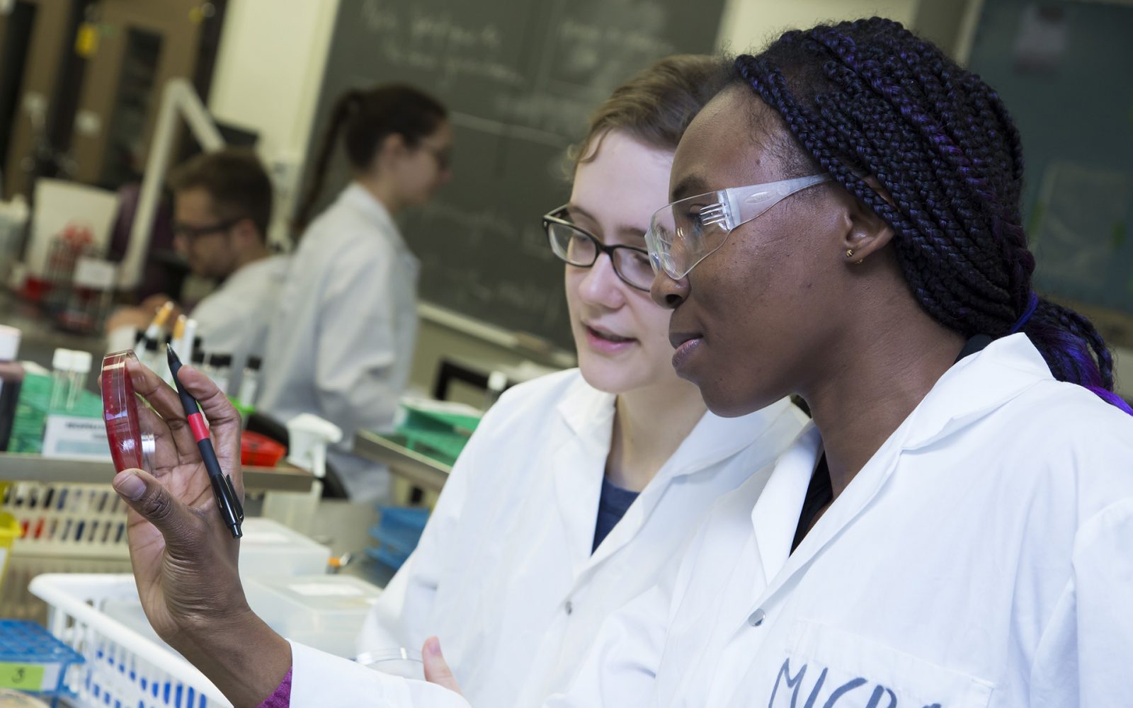 Microbiologie dans un laboratoire d'analyses biomédicales