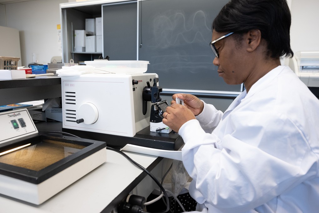 Histopathologie dans le laboratoire d'analyses biomédicales